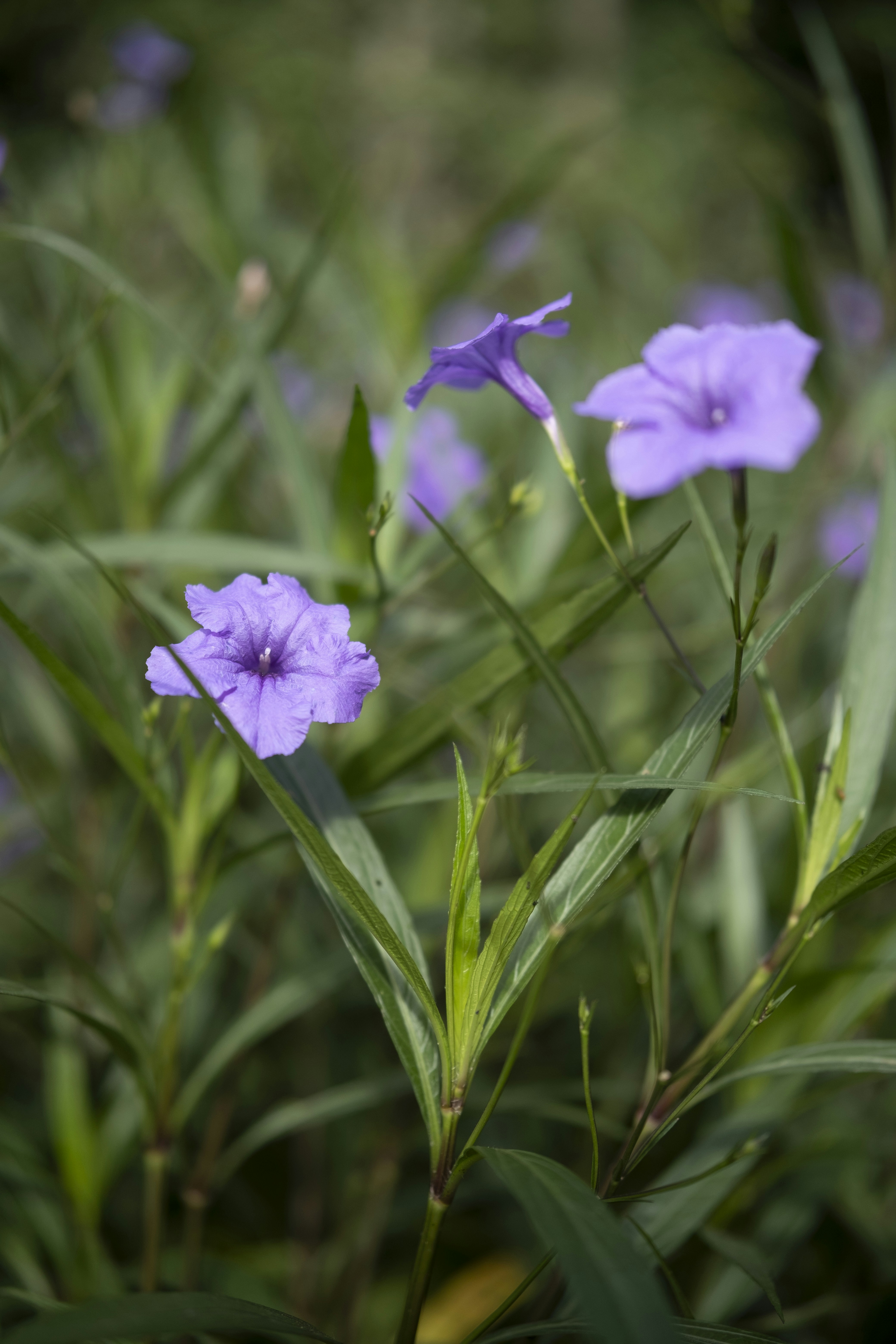 Photo by wenhao_ruan