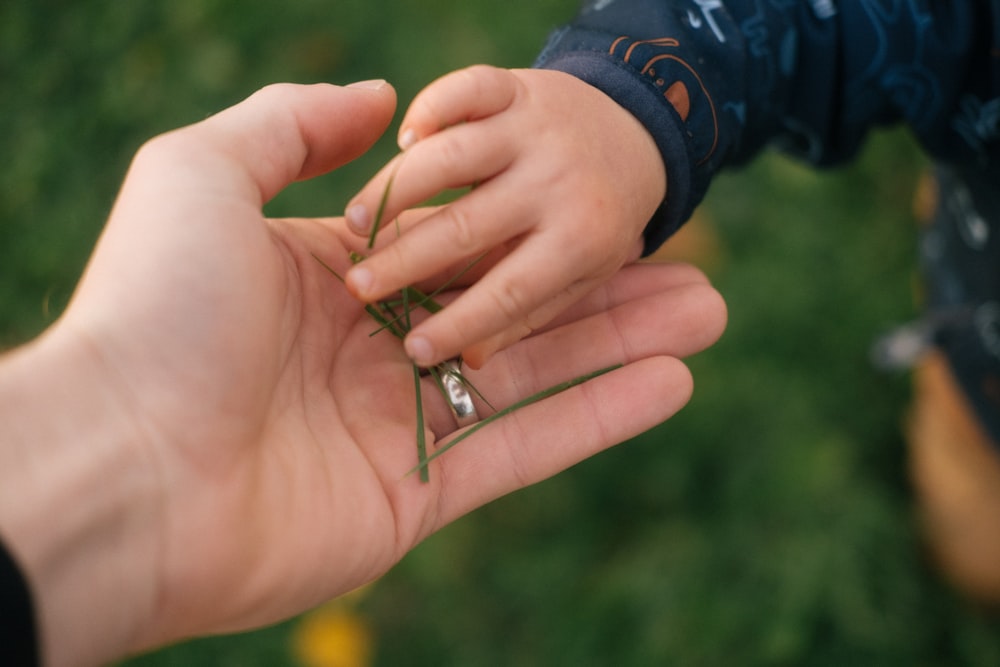 a person holding a small green insect in their hand