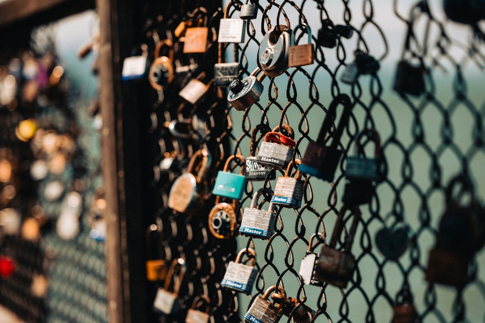 many padlocks are attached to a fence