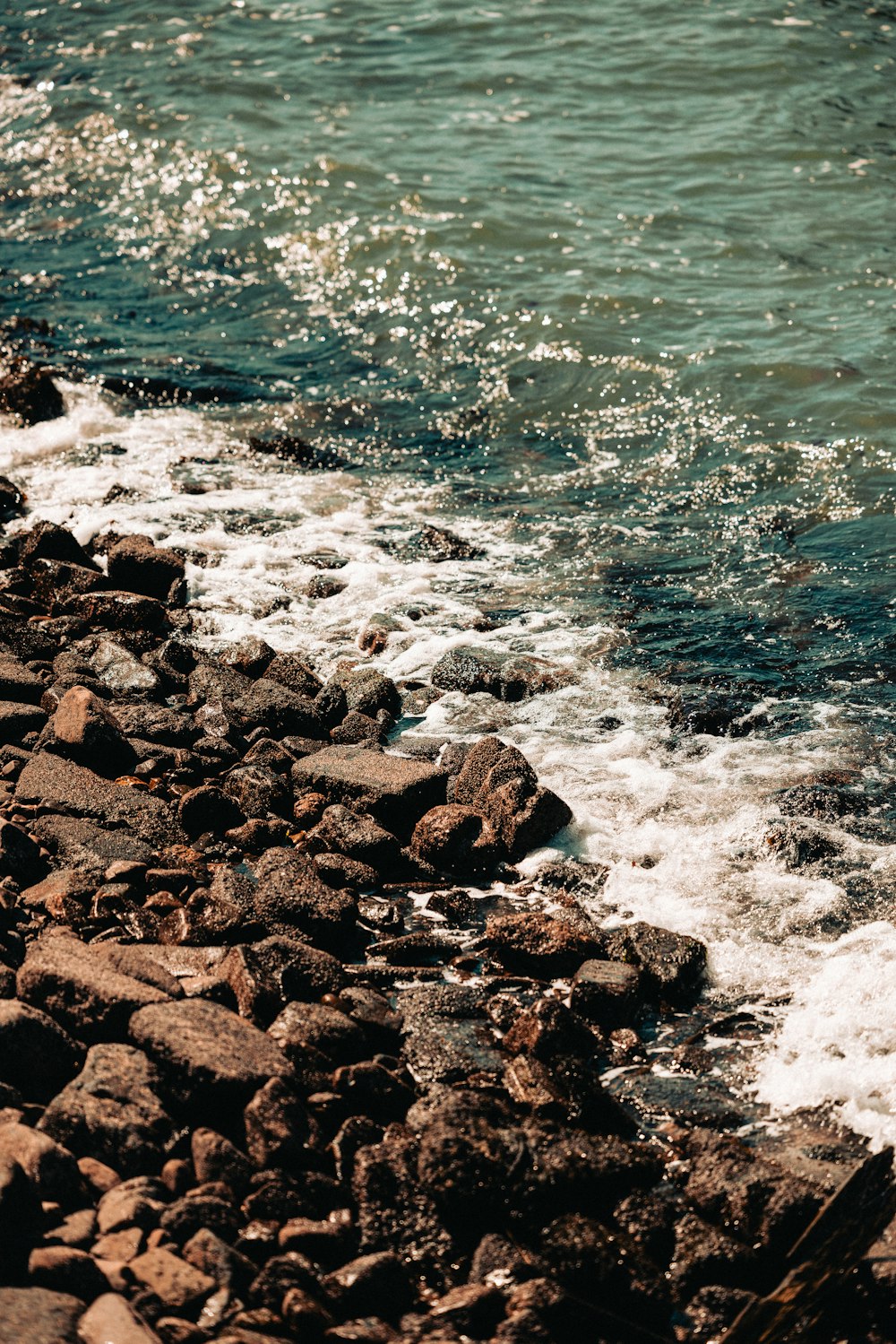 a bird is standing on the rocks by the water