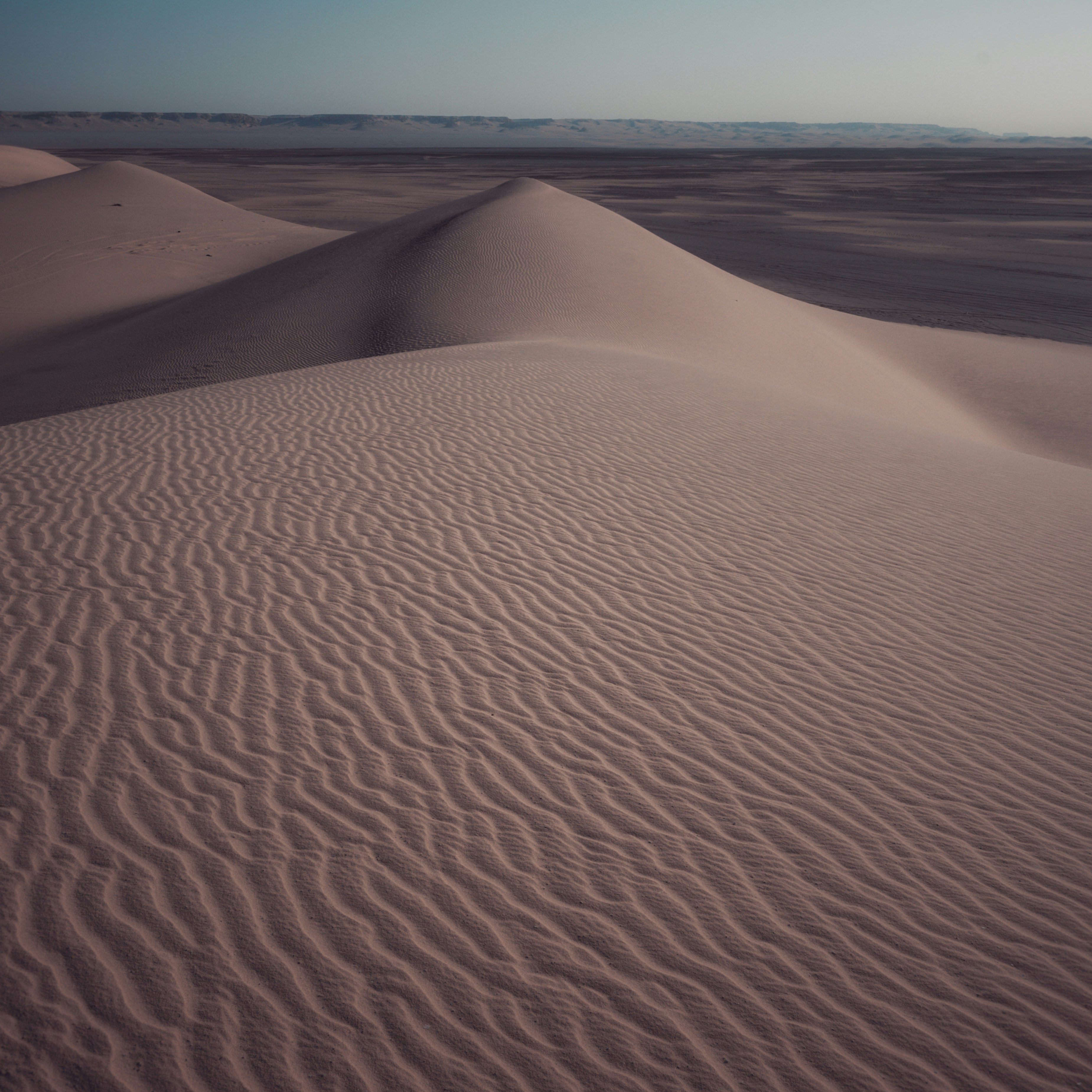 Photo by kareem_saleh