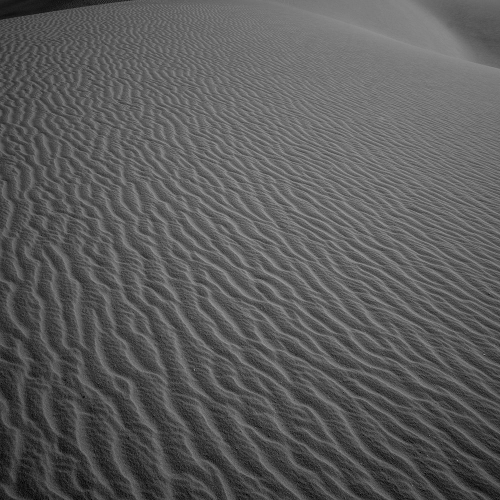 a black and white photo of a sand dune