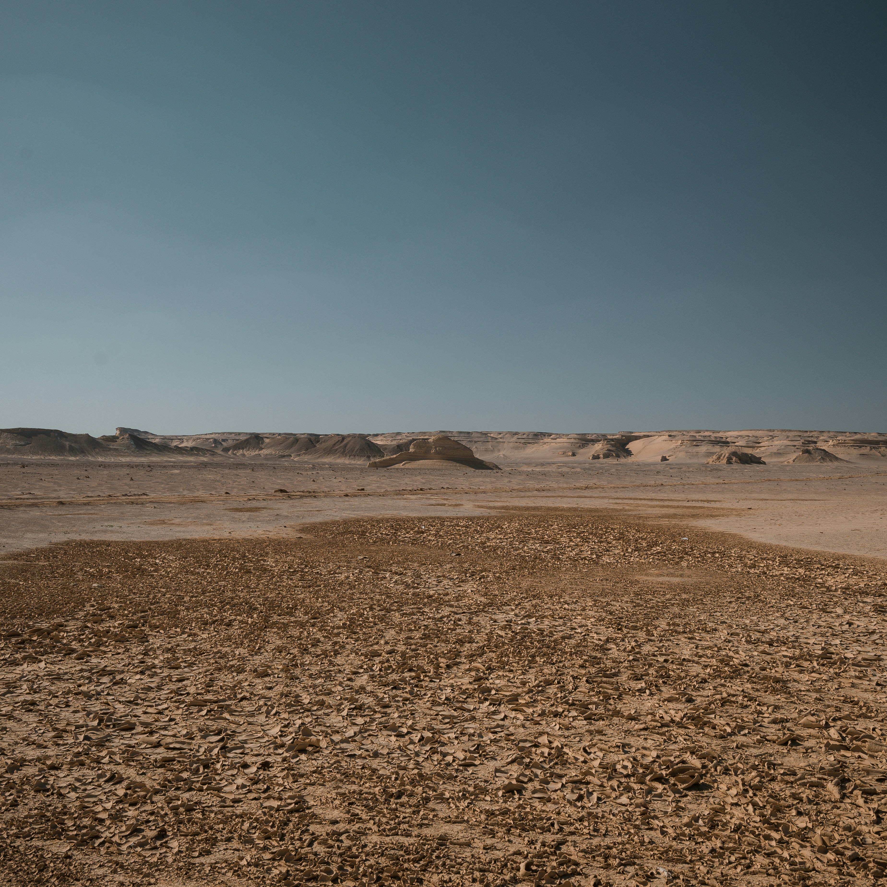 Photo by kareem_saleh