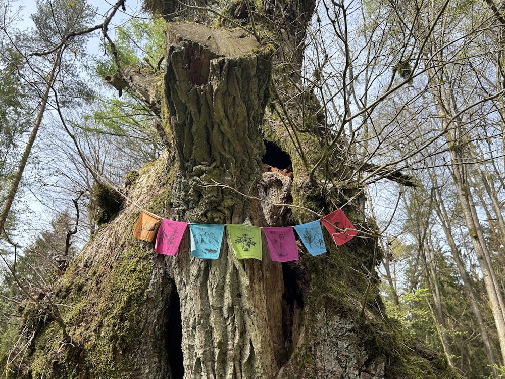 a tree that has been decorated with colorful flags