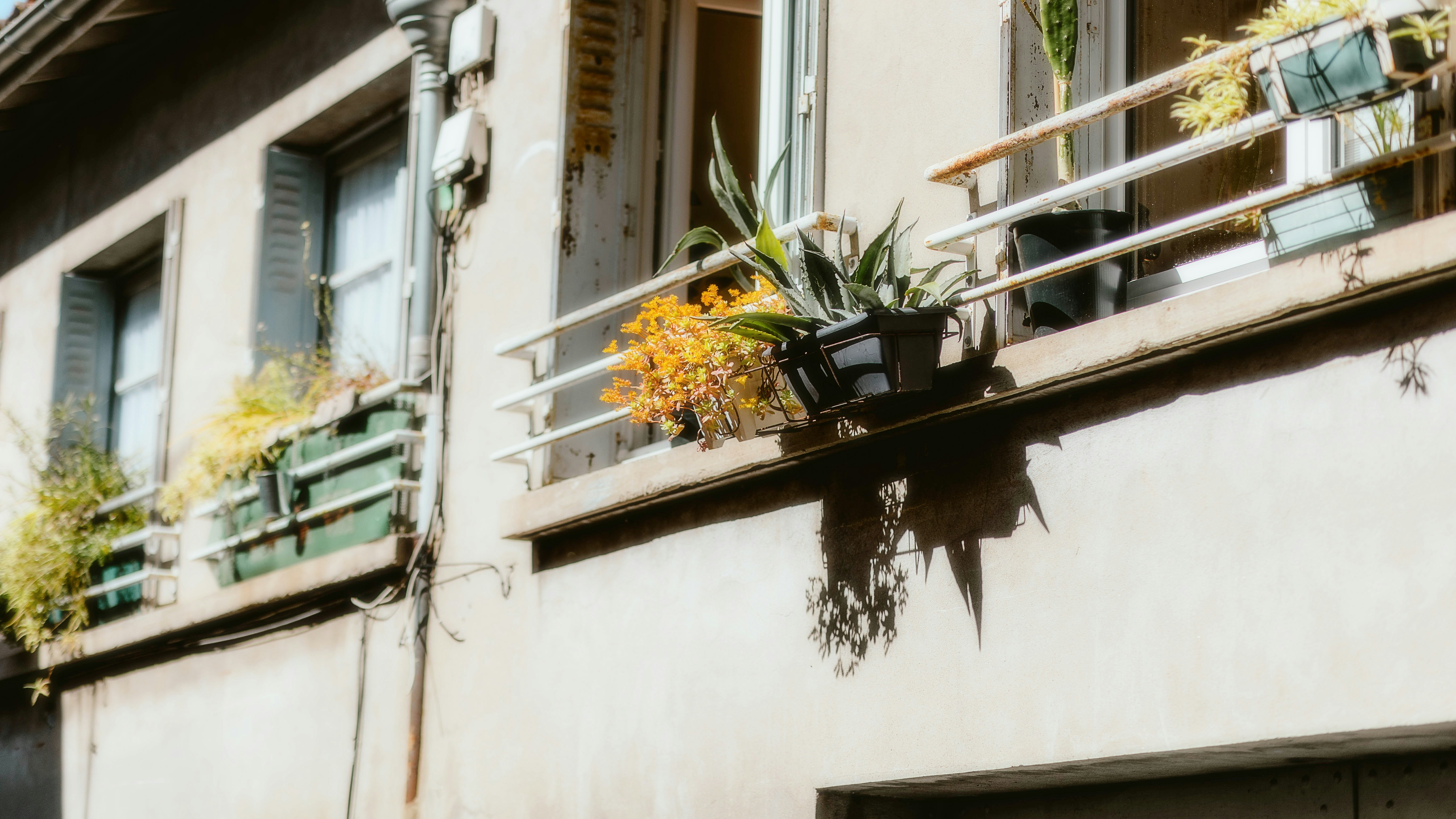 Photo by alingavriliuc