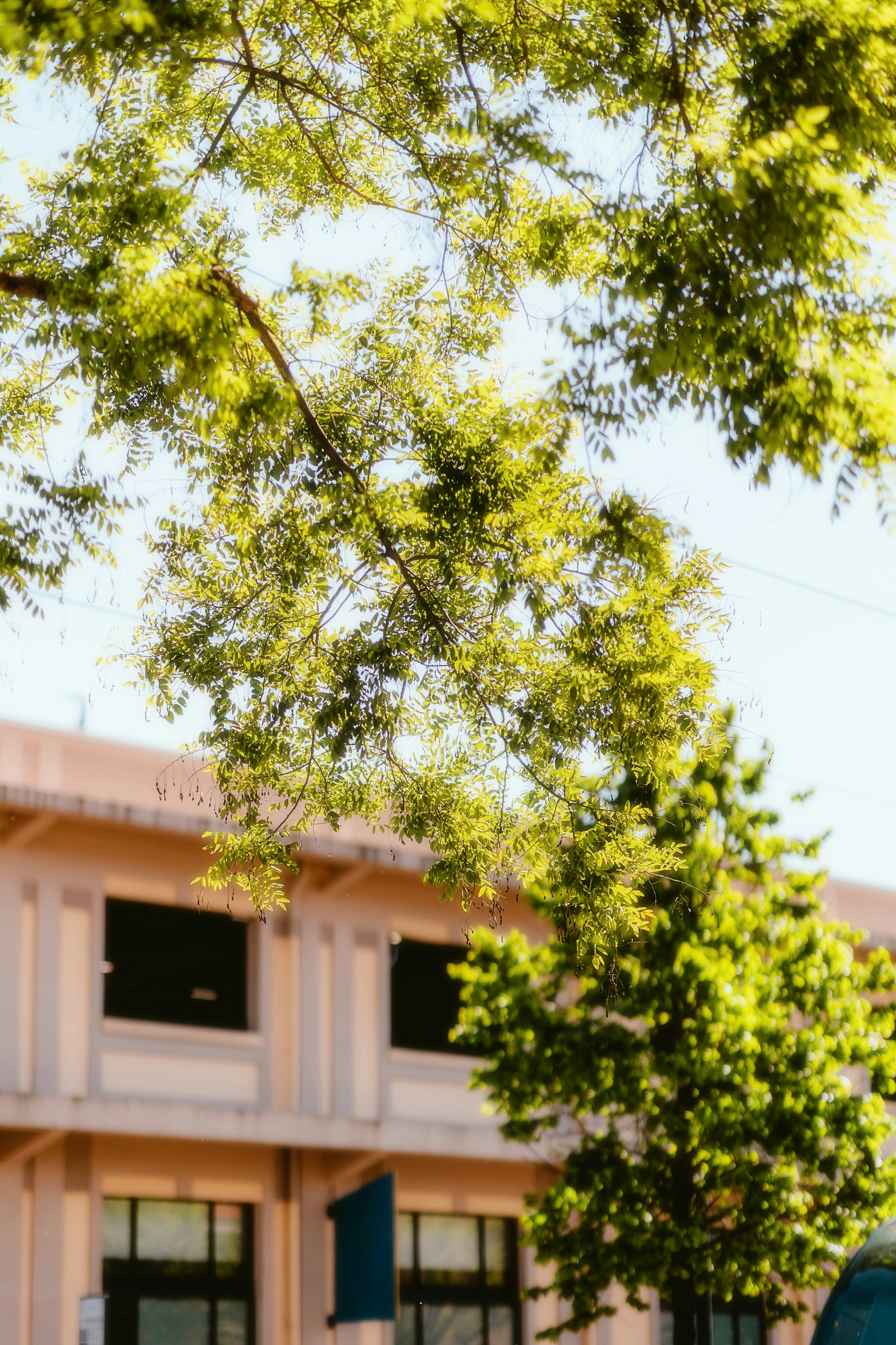 Photo by alingavriliuc