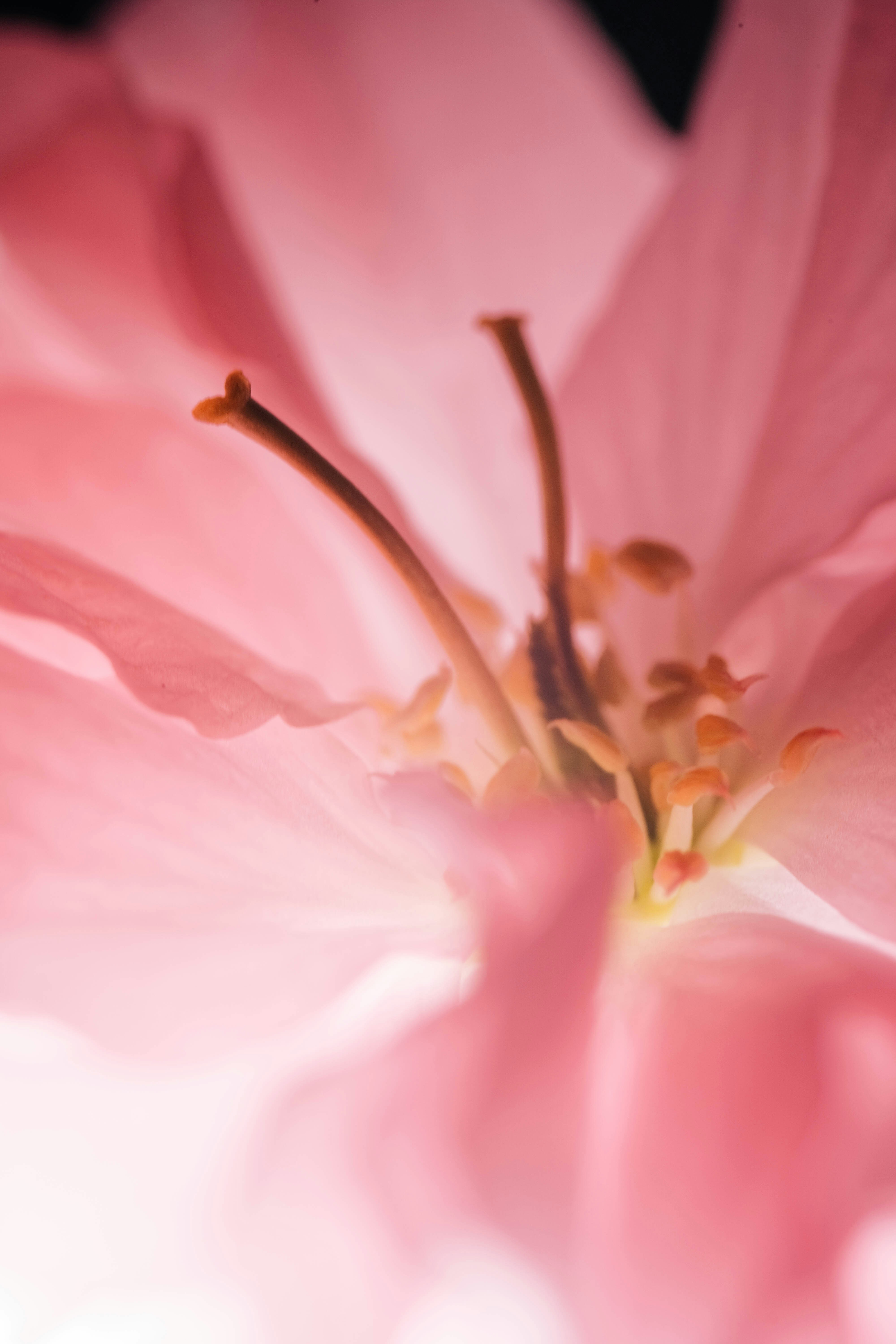 Photo by insungpandora