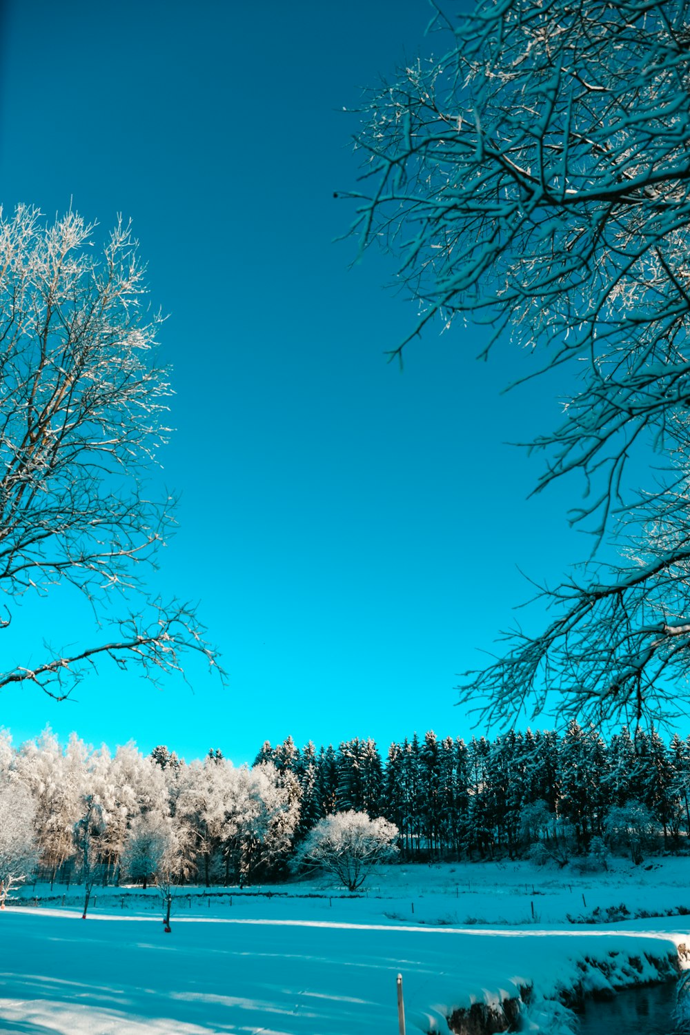 a snow covered field with trees in the background