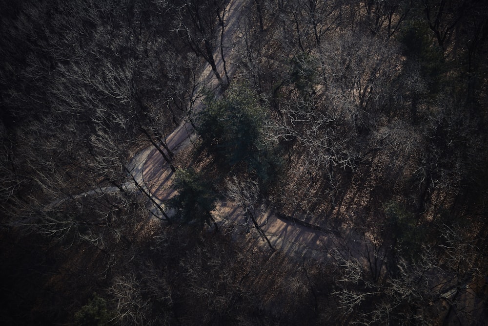 an aerial view of a road in the woods