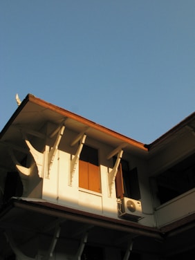 a bird is perched on the roof of a building