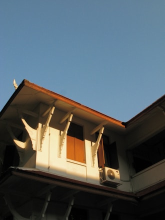 a bird is perched on the roof of a building