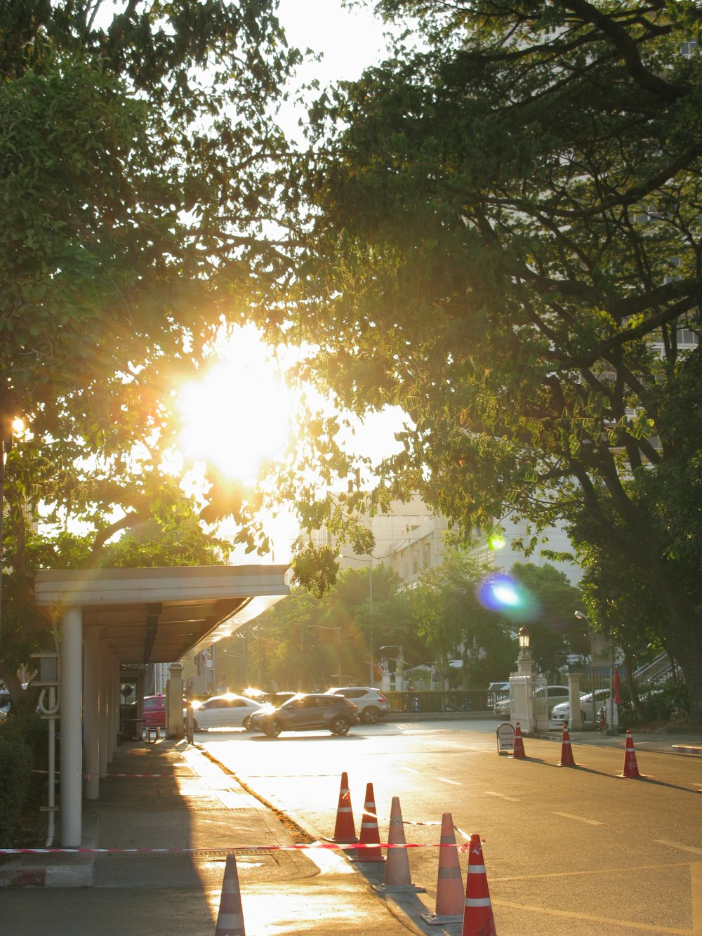 the sun is shining through the trees in the parking lot