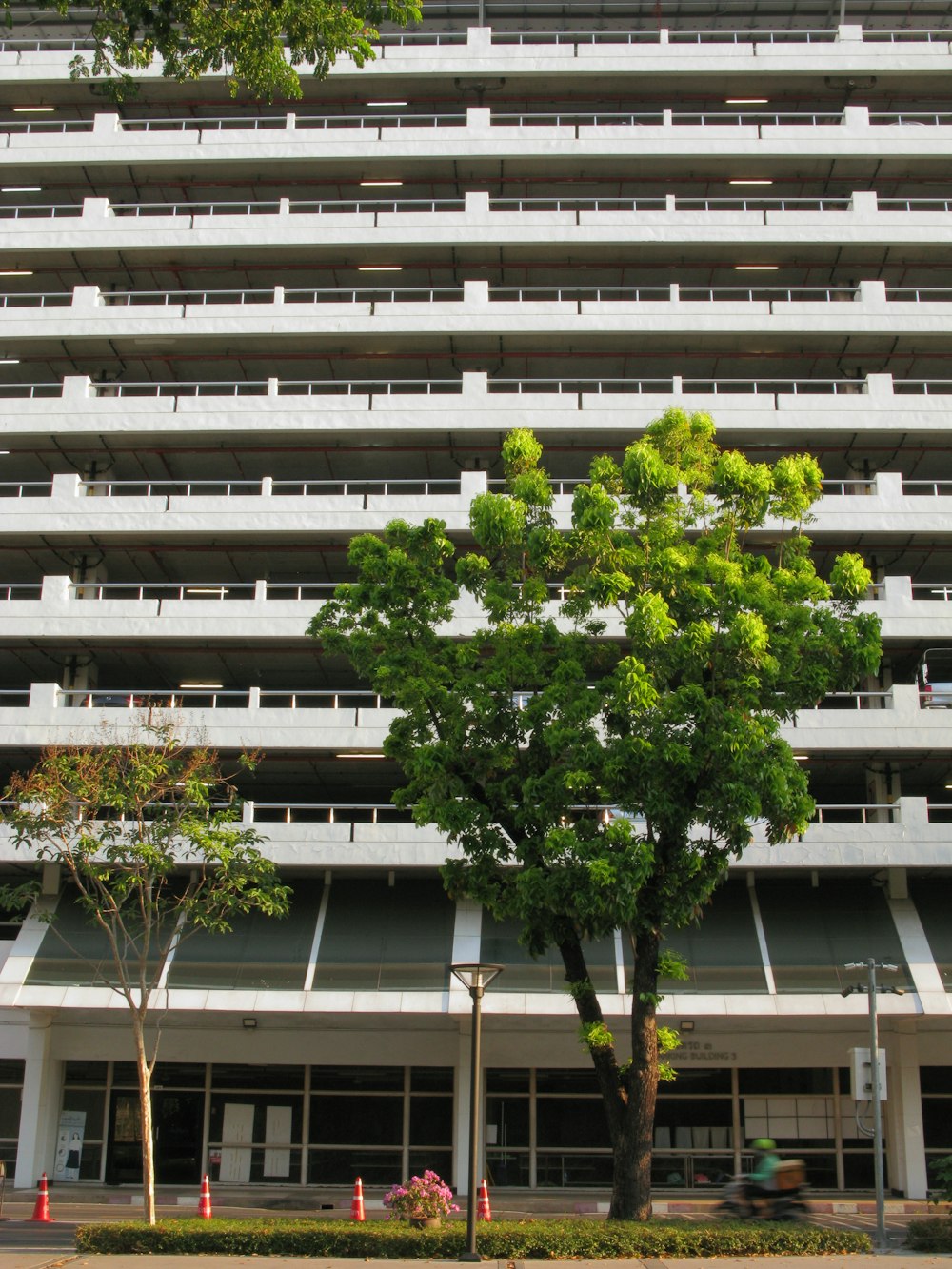 a large building with a tree in front of it