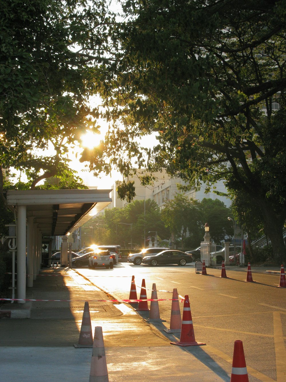 the sun is shining through the trees over the parking lot