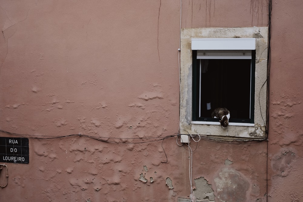 a cat sitting in the window of a pink building