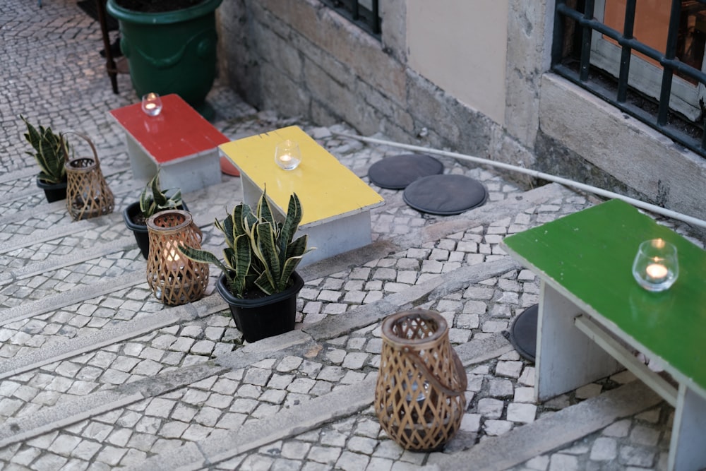 a number of potted plants on a cobblestone street