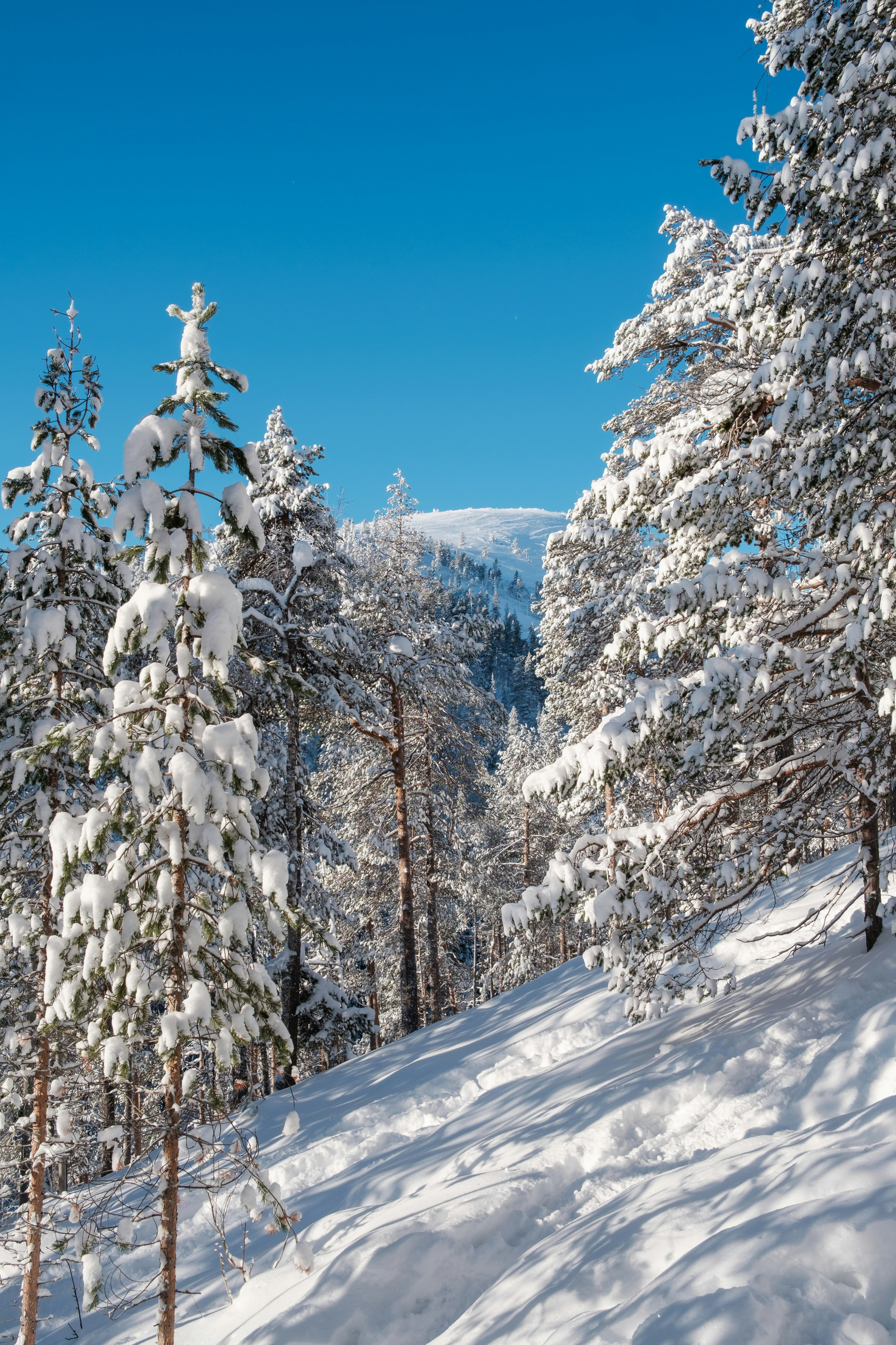 a person riding skis down a snow covered slope