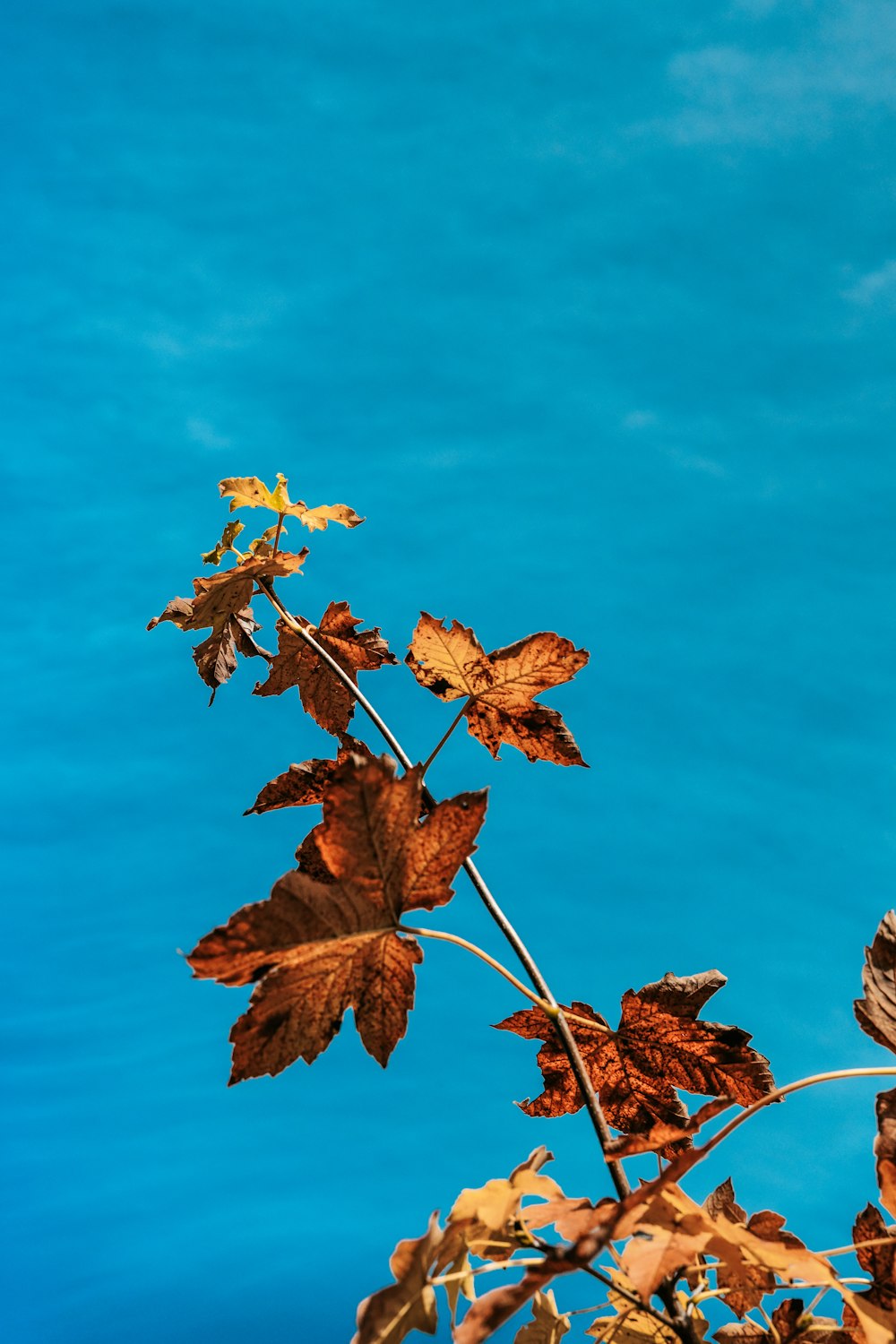 a bird perched on top of a tree branch