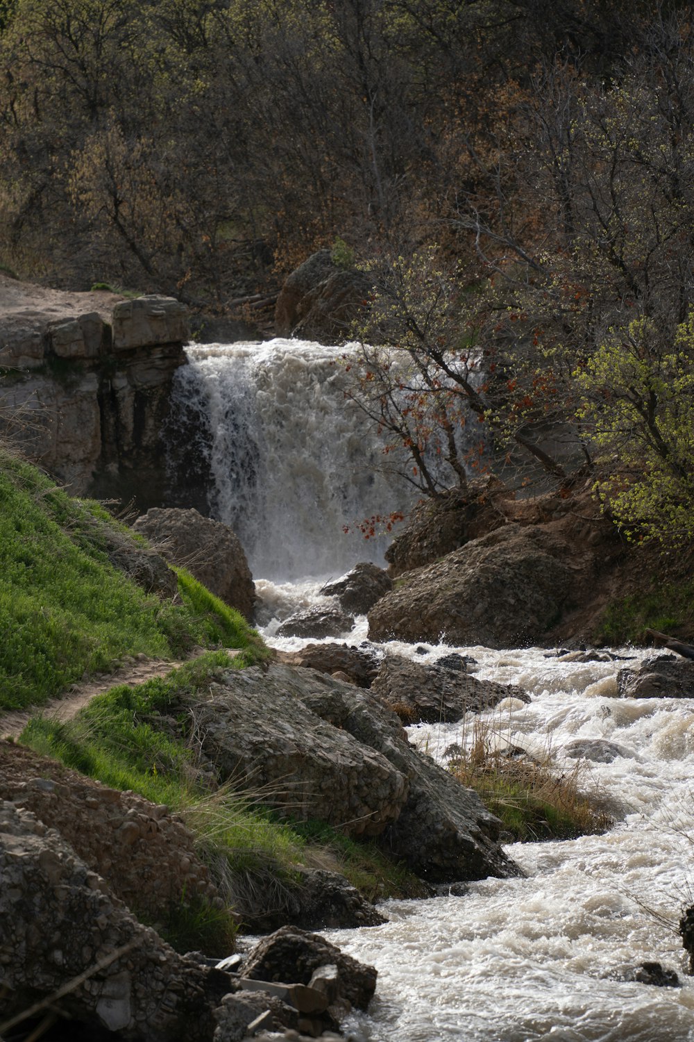 un homme debout sur un rocher à côté d’une rivière