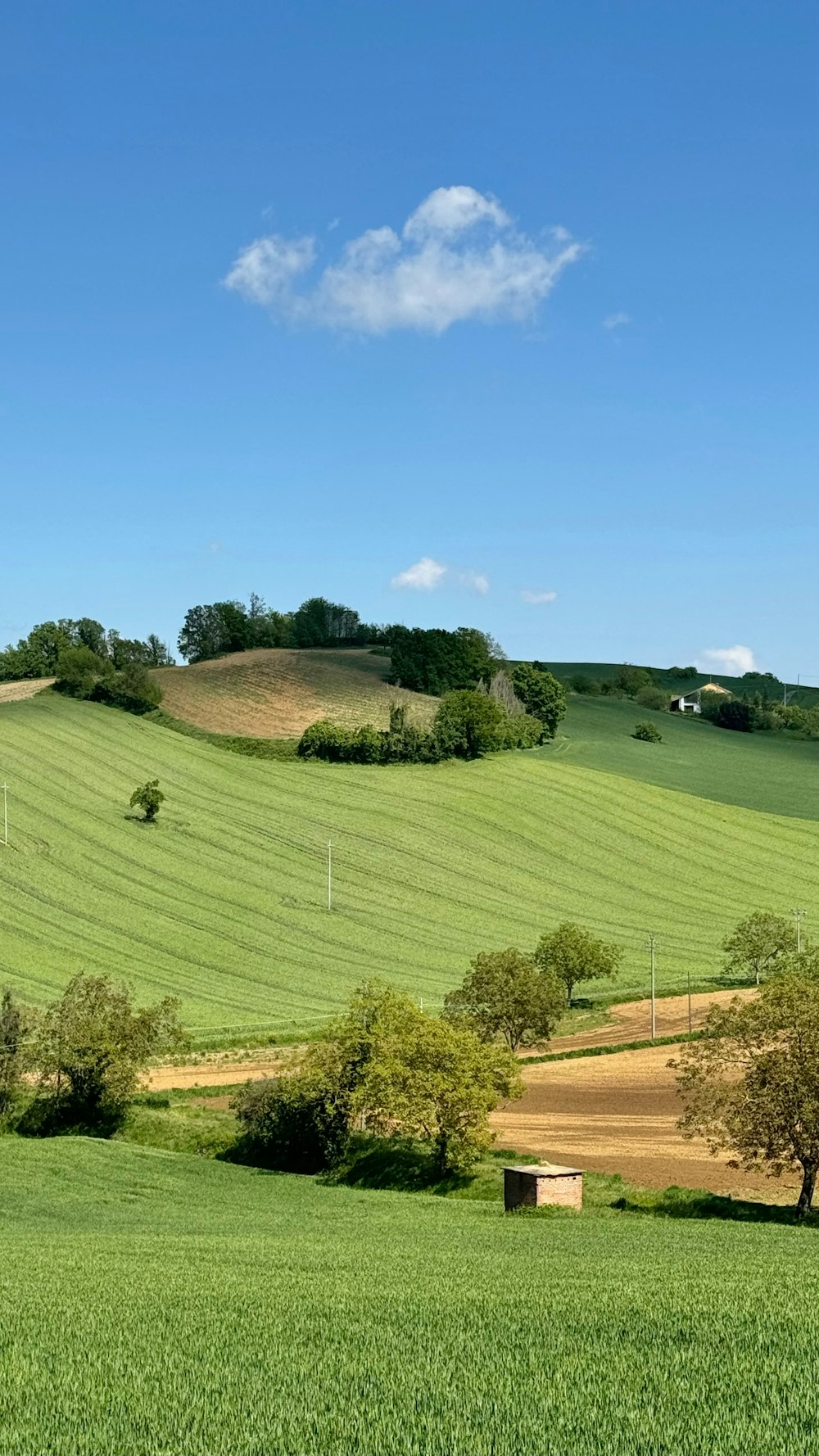 a green field with trees and a hill in the background