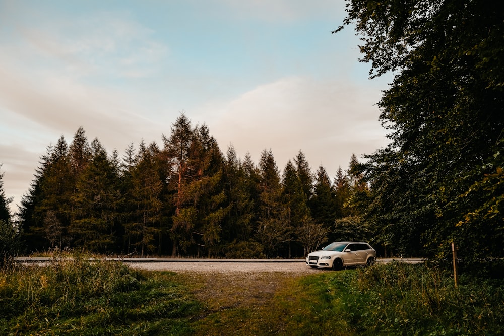 a car parked on the side of a road near a forest