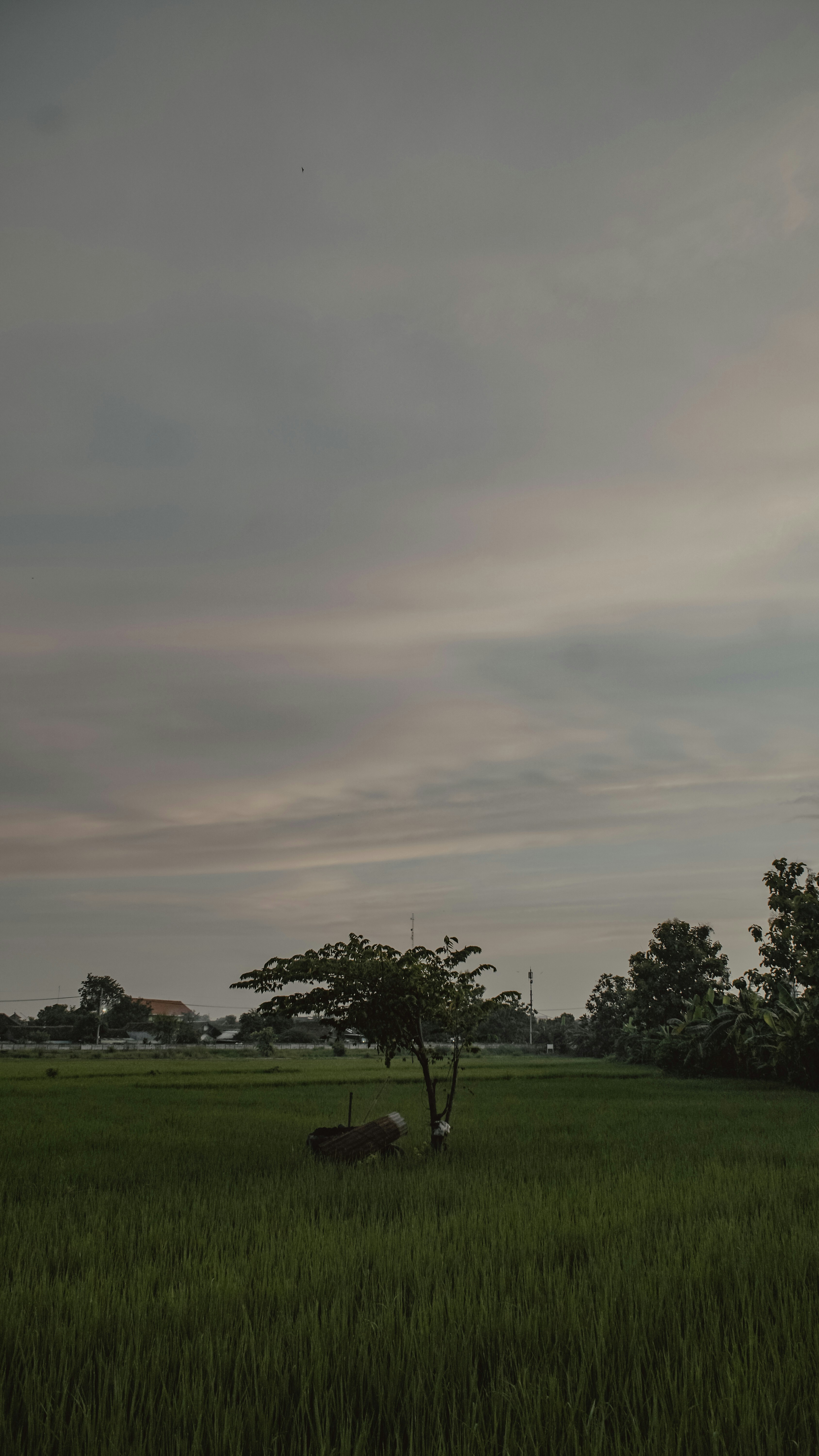 Photo by sulistyosatriyo