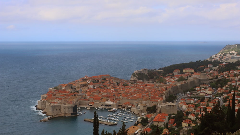 an aerial view of a city and a harbor