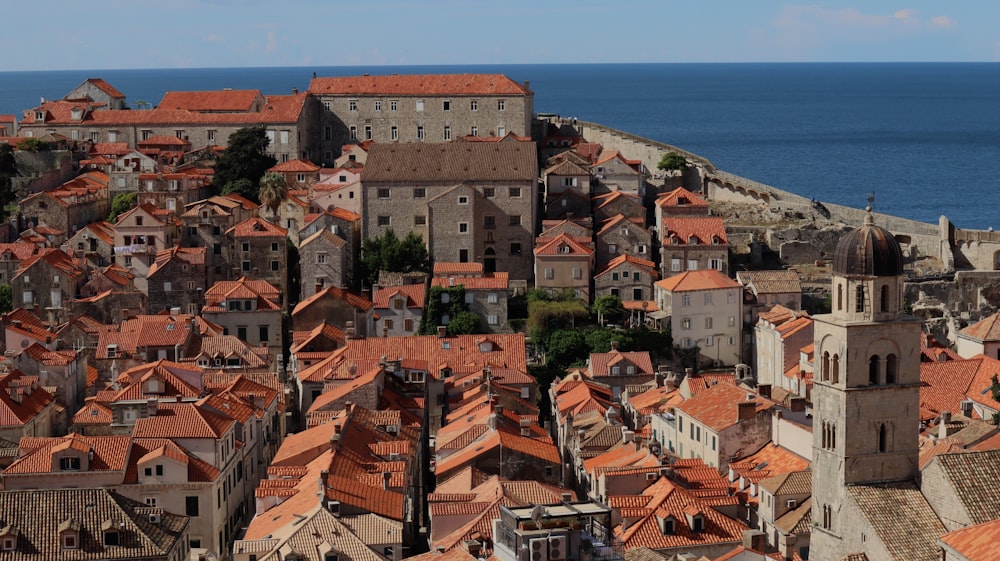 a view of a city with red roofs and a body of water in the background