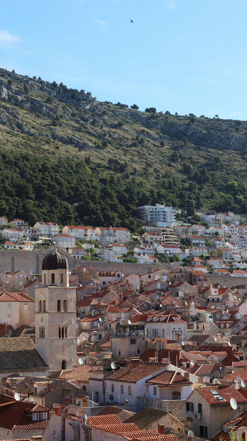 a view of a city with a hill in the background