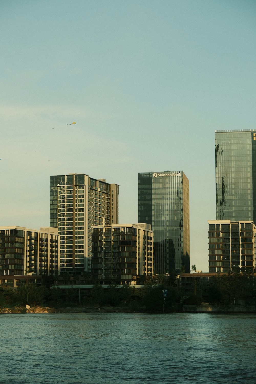 a body of water with a bunch of tall buildings in the background