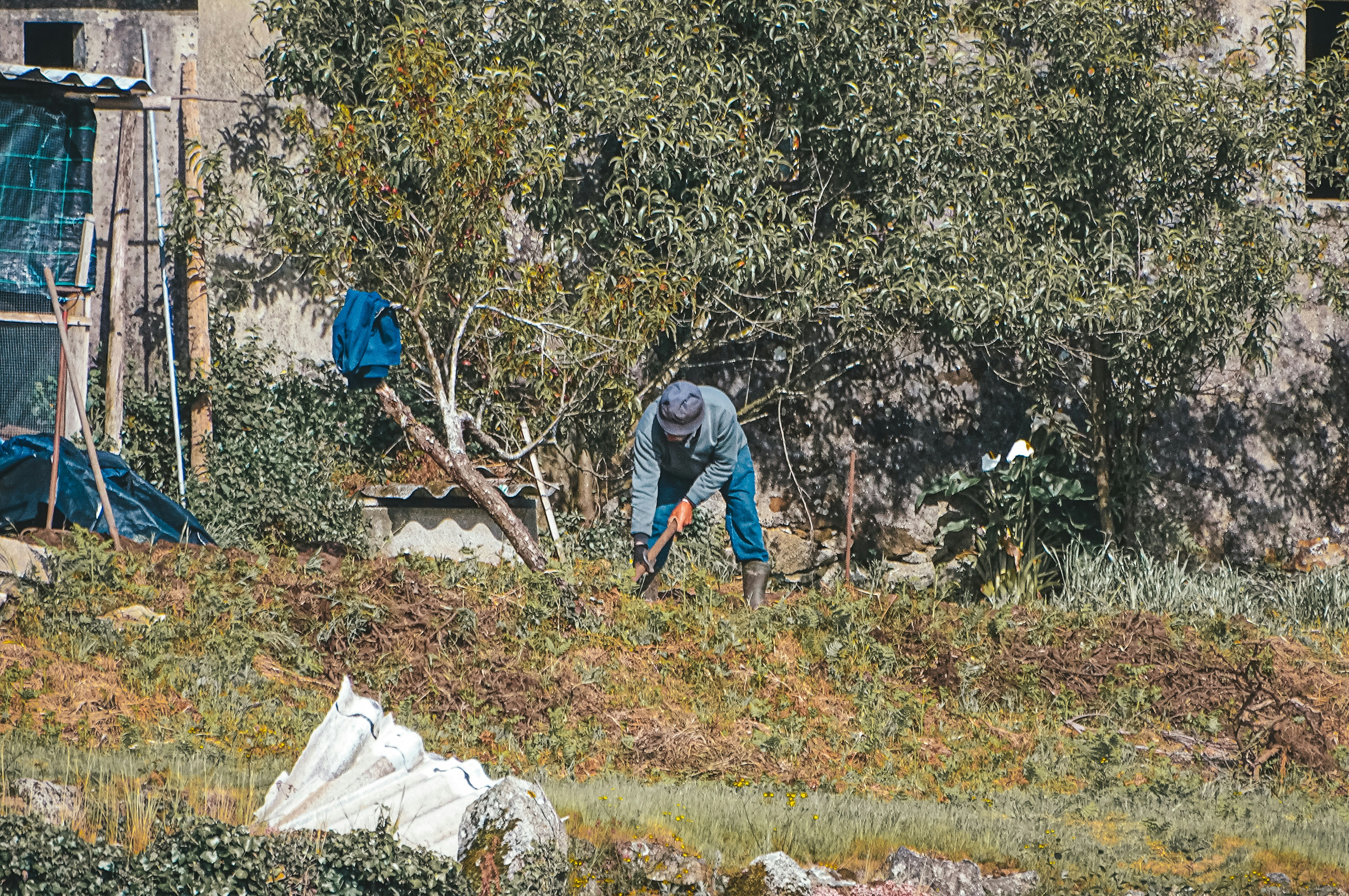 Photo by phozebyzemachado
