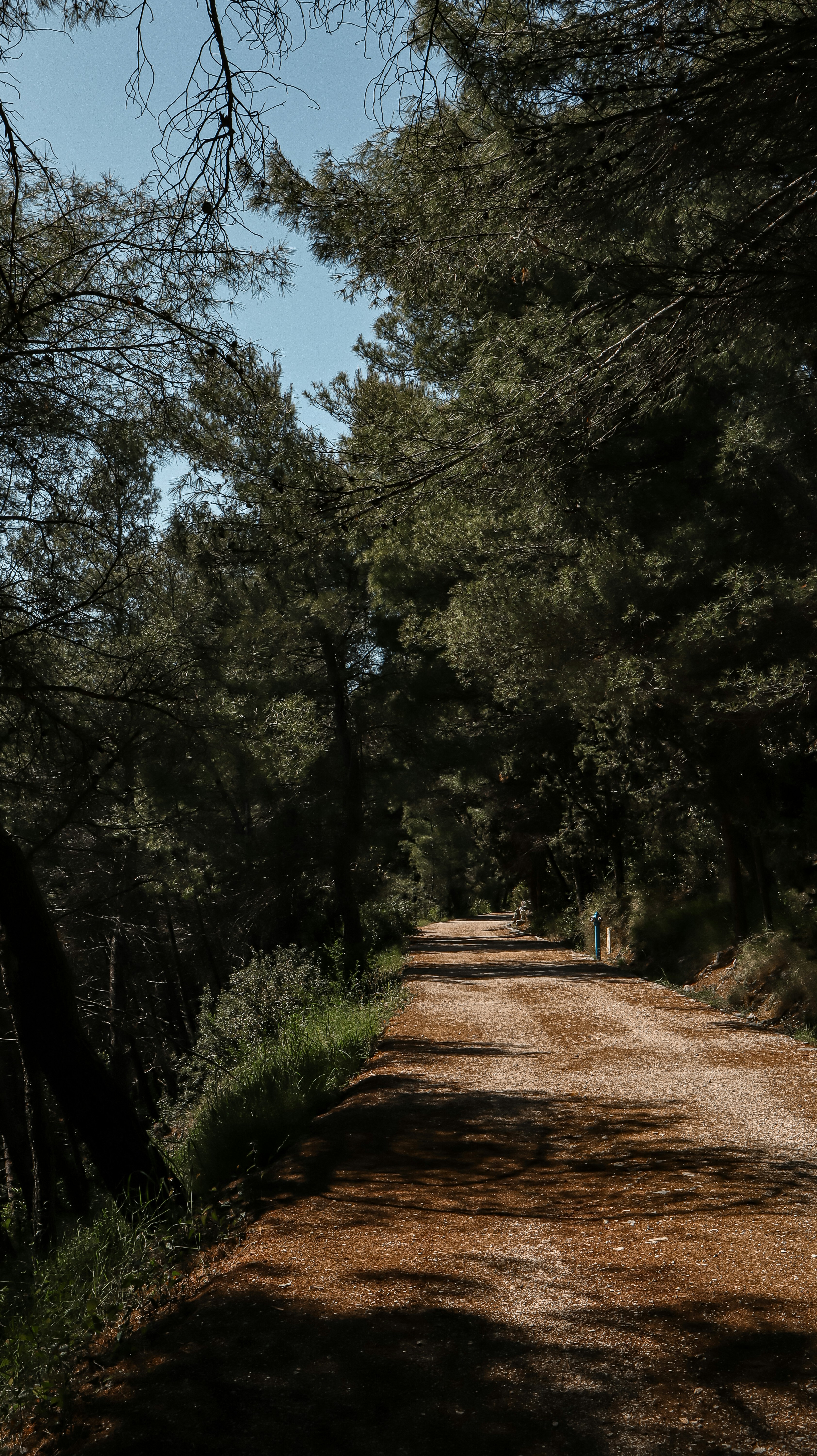 Photo by florvignaroli