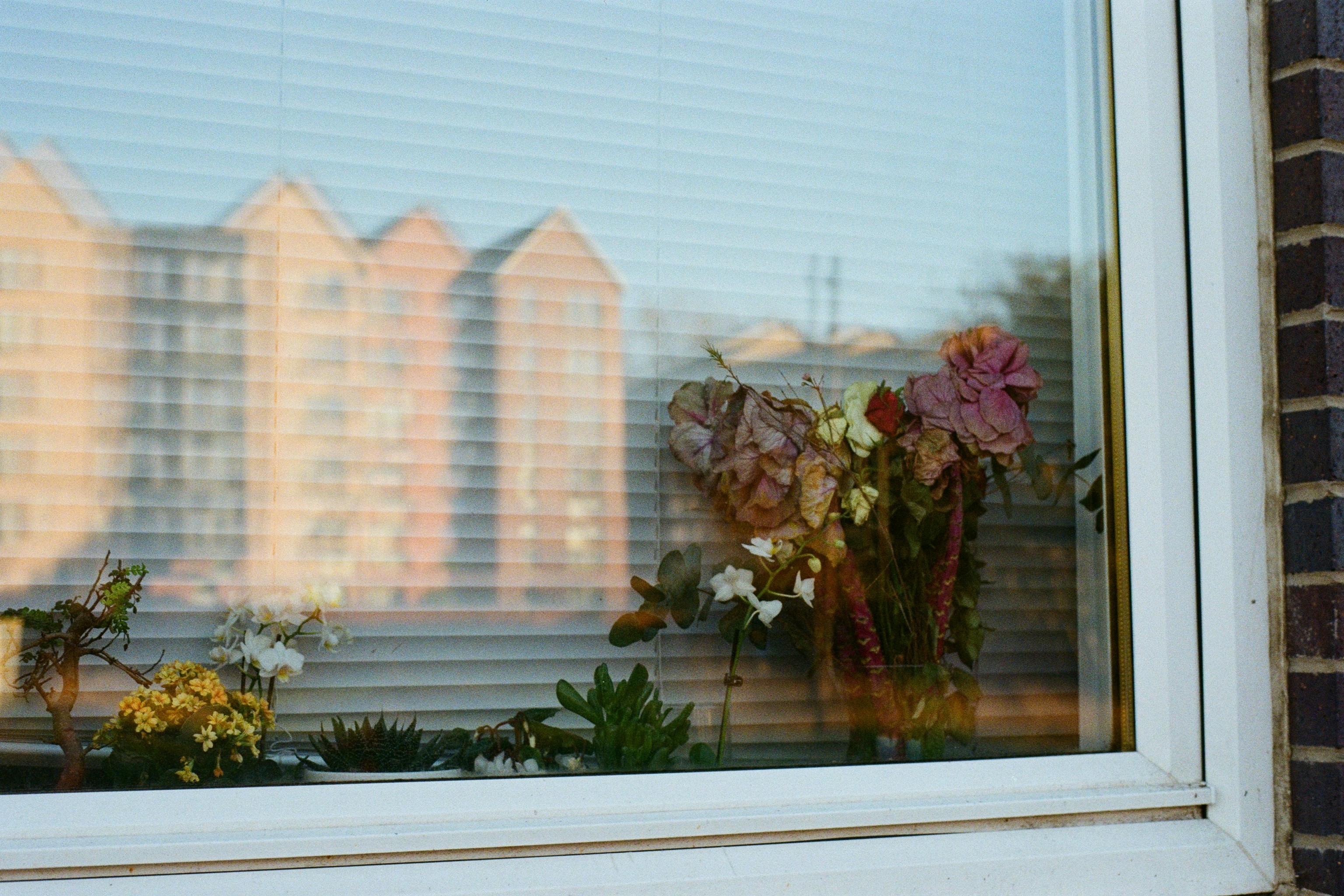 Photo by carriedbysnowflakes