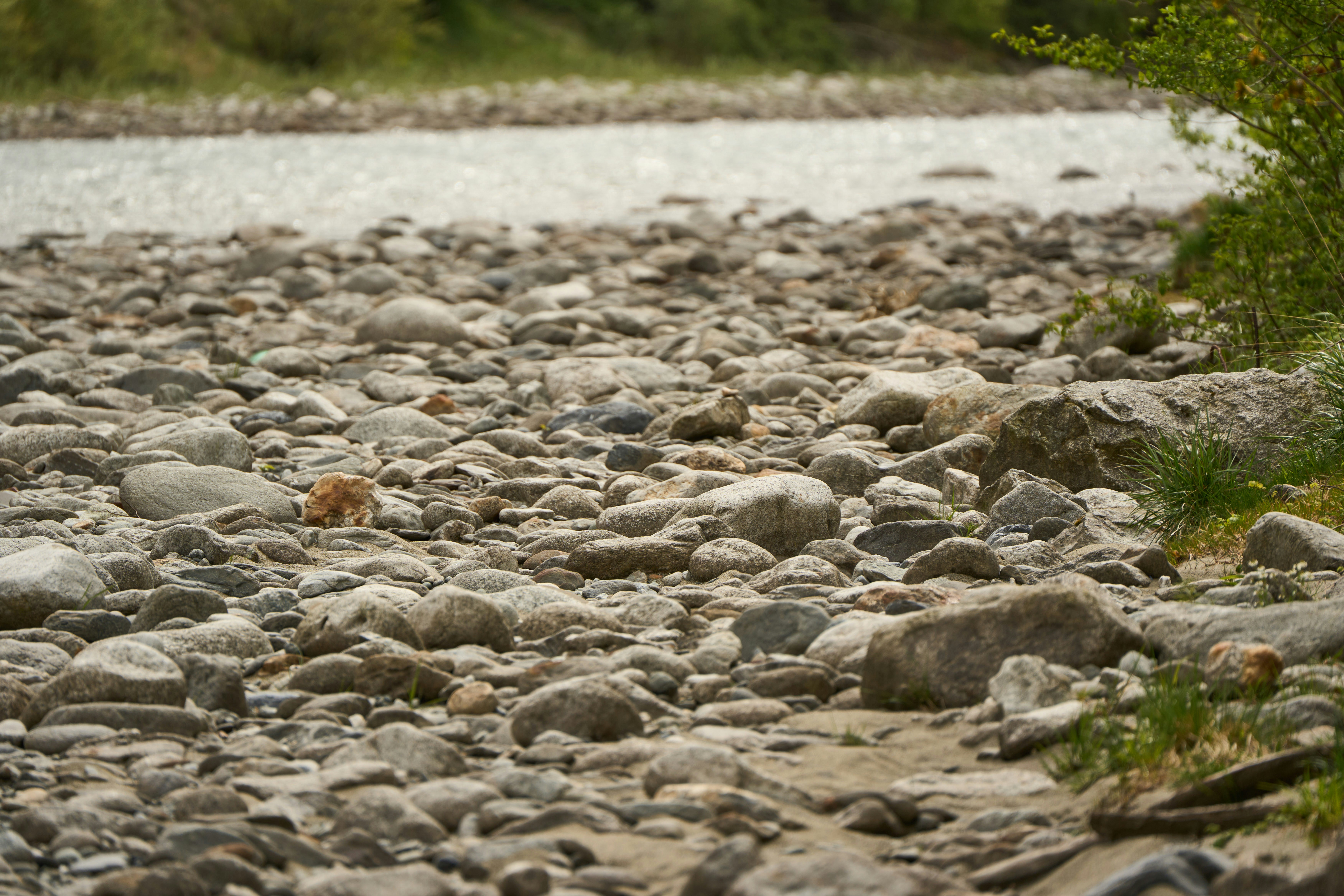 Photo by wolfgang_hasselmann