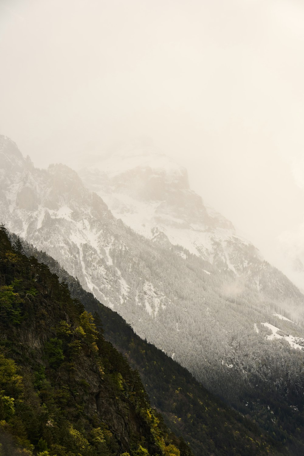 a mountain covered in snow and trees on a cloudy day