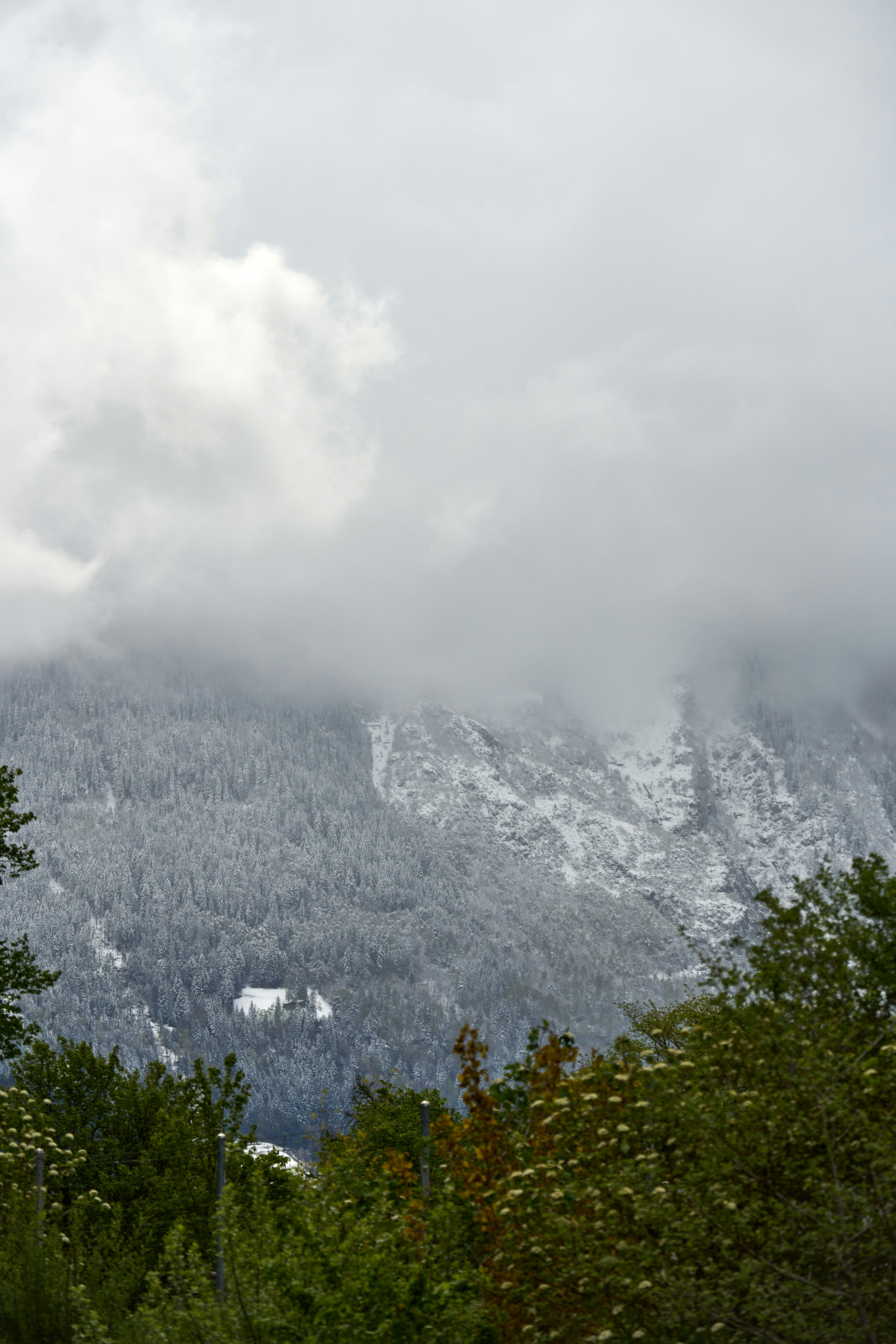 Photo by wolfgang_hasselmann