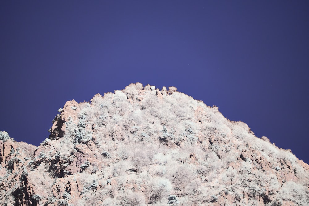 a very tall mountain covered in snow under a blue sky