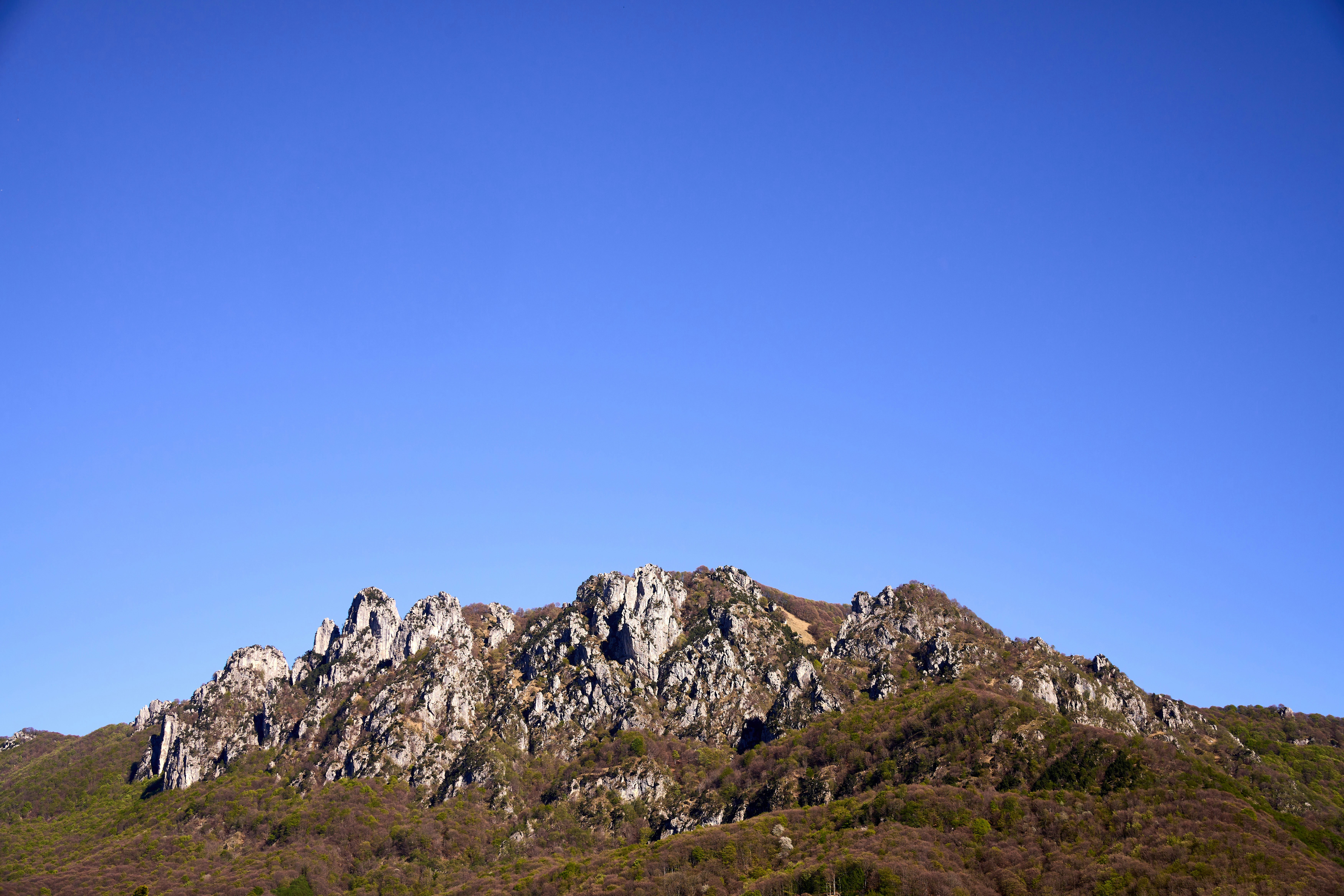 Photo by wolfgang_hasselmann