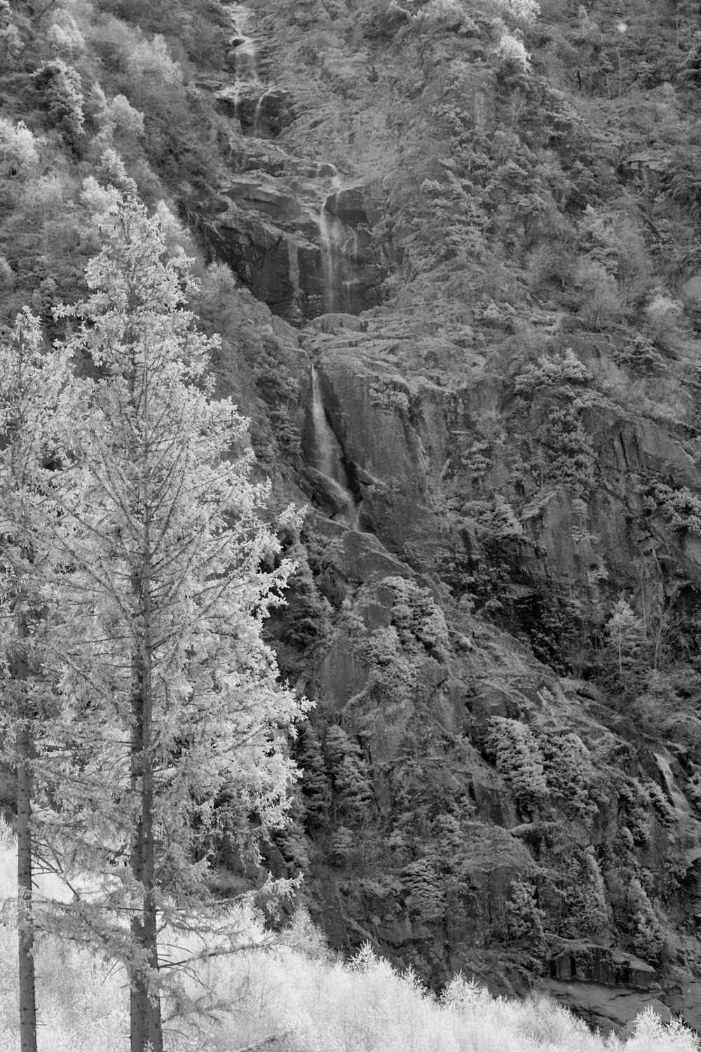 a black and white photo of a mountain side