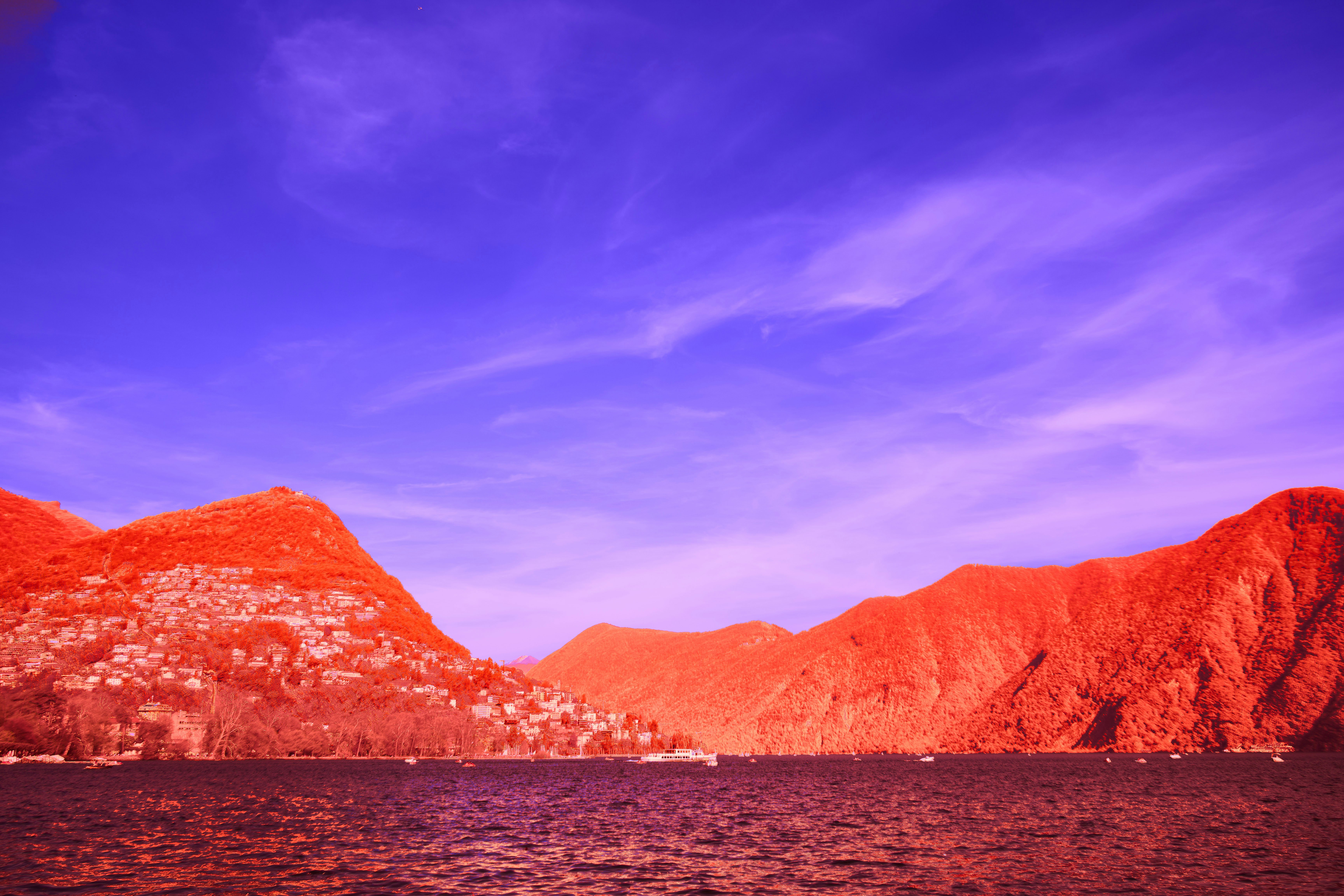 Photo by wolfgang_hasselmann