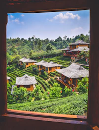 a view of a tea estate from a window