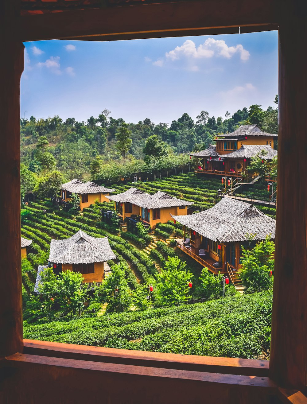 a view of a tea estate from a window