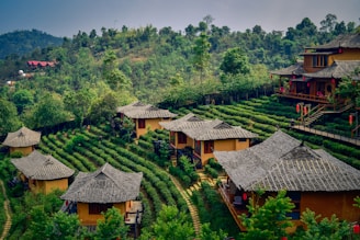 a group of houses sitting on top of a lush green hillside