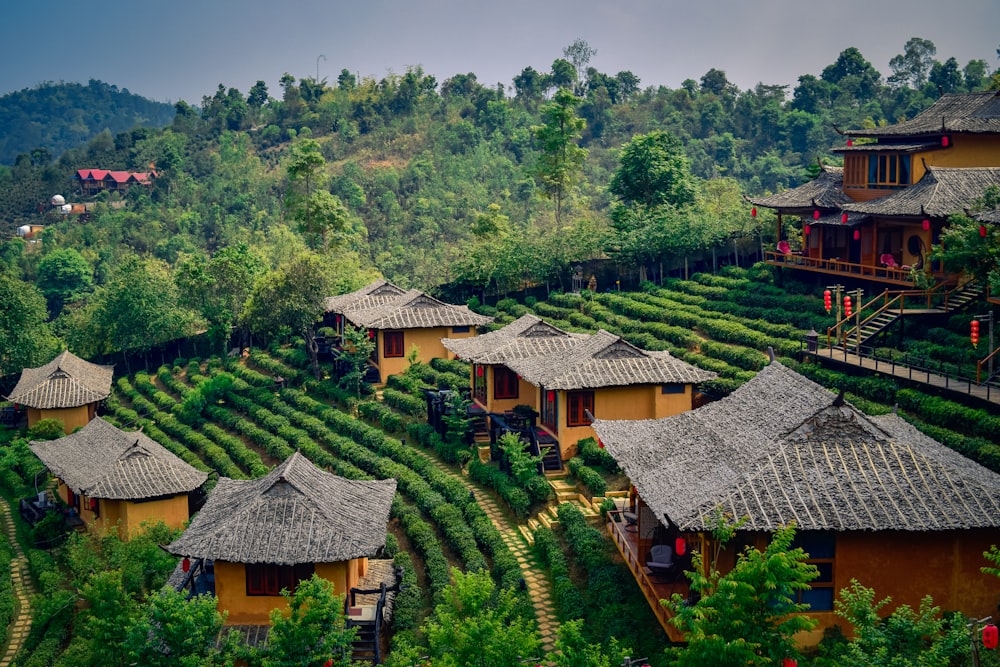 무성한 녹색 언덕 위에 앉아있는 집들의 무리