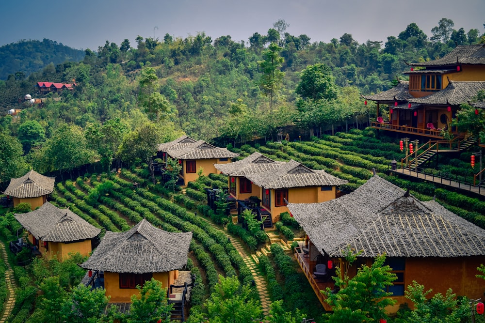 a group of houses sitting on top of a lush green hillside