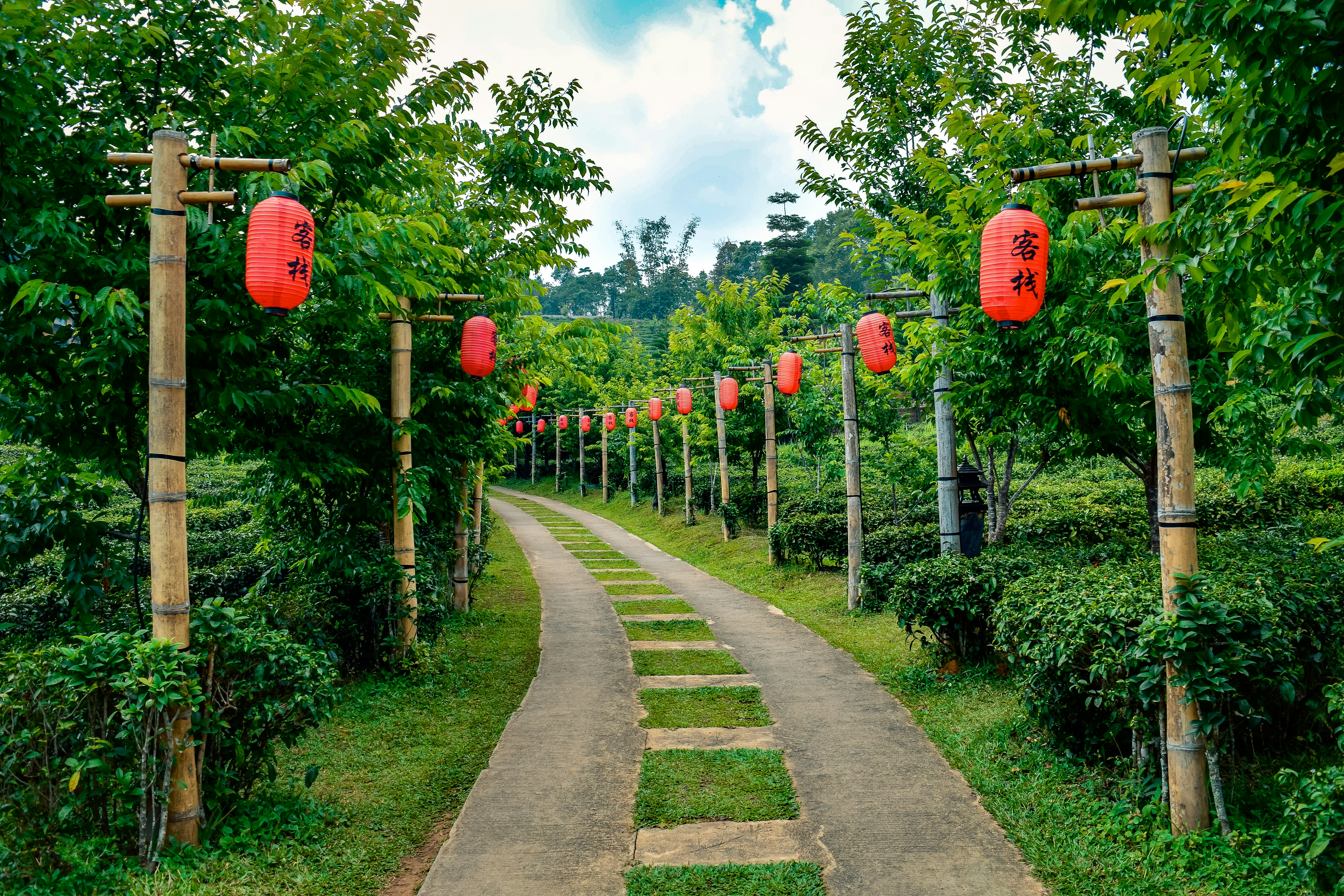 a path lined with red lanterns in the middle of a forest, 