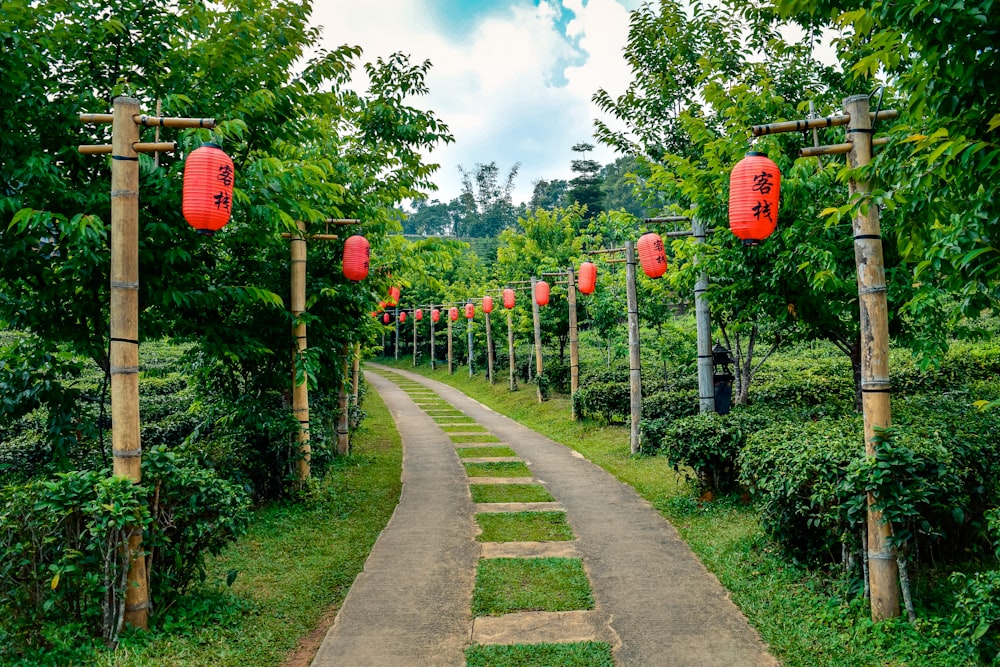 a path lined with red lanterns in the middle of a forest