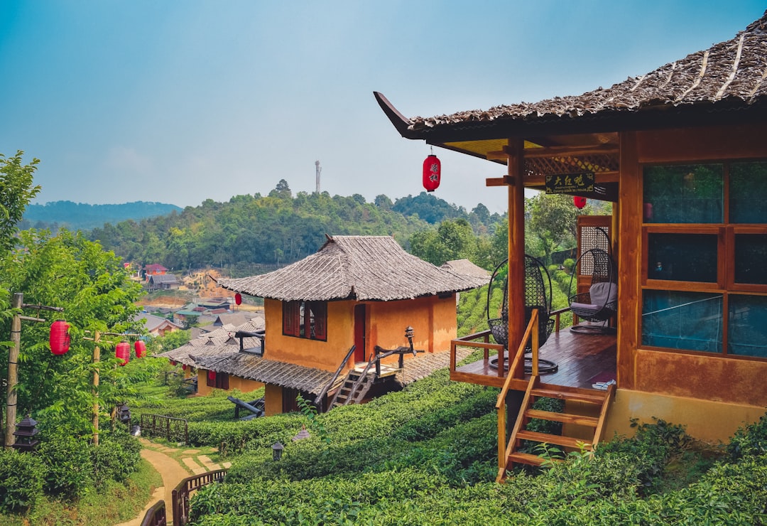 a house with a thatched roof on a hill,