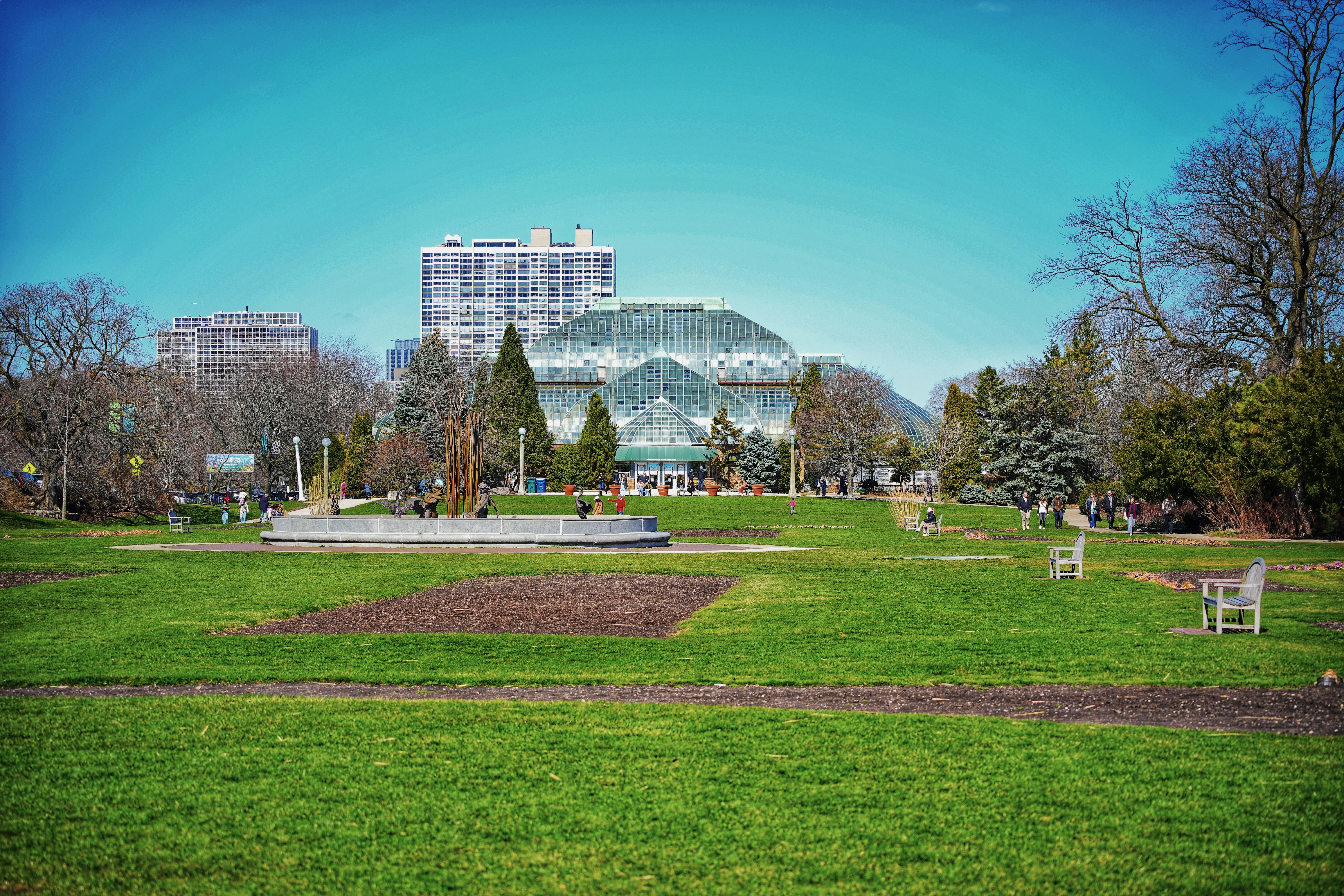 a park with a lot of green grass and a building in the background