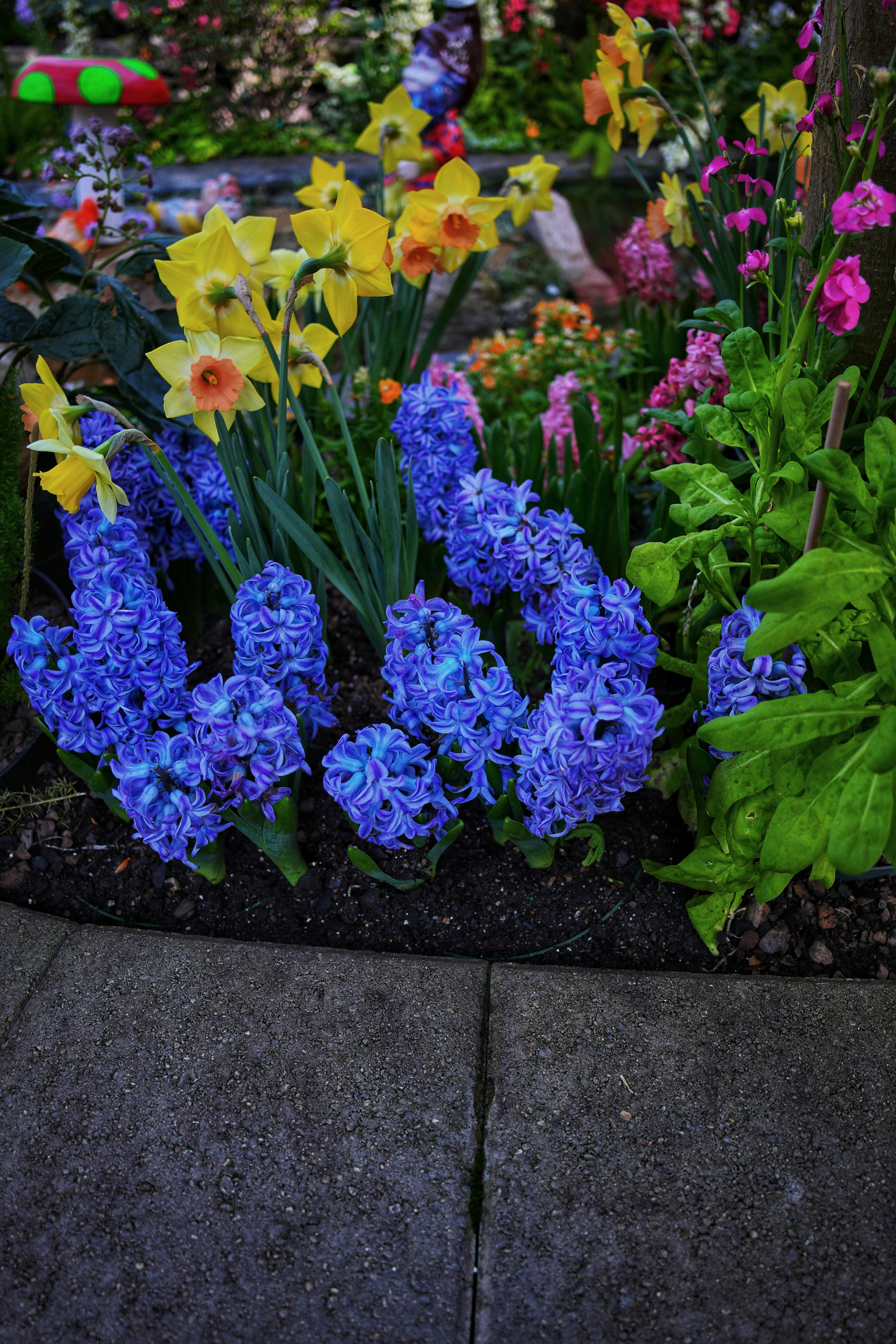 Shade Strategies for Sensitive Plants